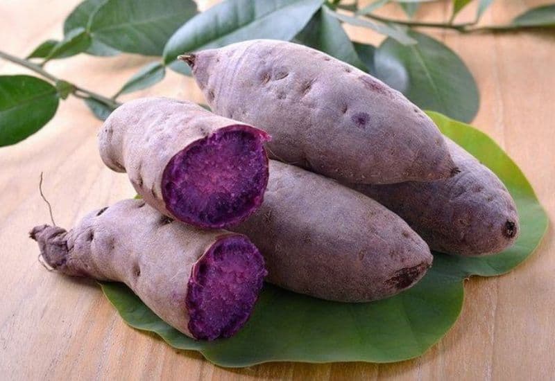 khoai lang có trị táo bón không