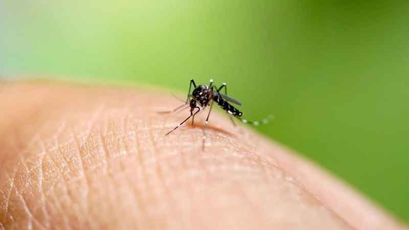 Khỏi sốt xuất huyết bao lâu thì được tắm?