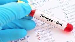Mỗi người có thể mắc sốt xuất huyết mấy lần trong suốt cuộc đời?