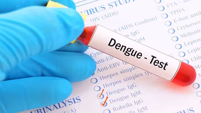 Mỗi người có thể mắc sốt xuất huyết mấy lần trong suốt cuộc đời?