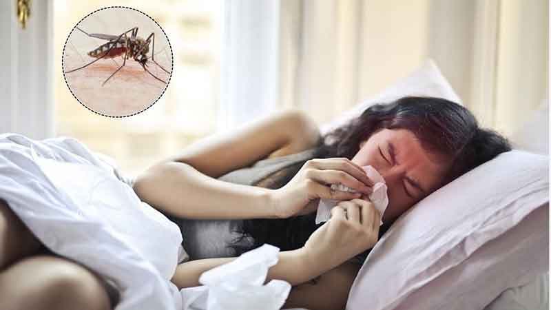 Mỗi người có thể mắc sốt xuất huyết mấy lần trong suốt cuộc đời?