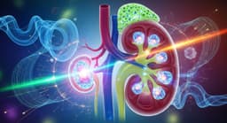 Người bị sỏi thận có nên ăn trứng gà không?