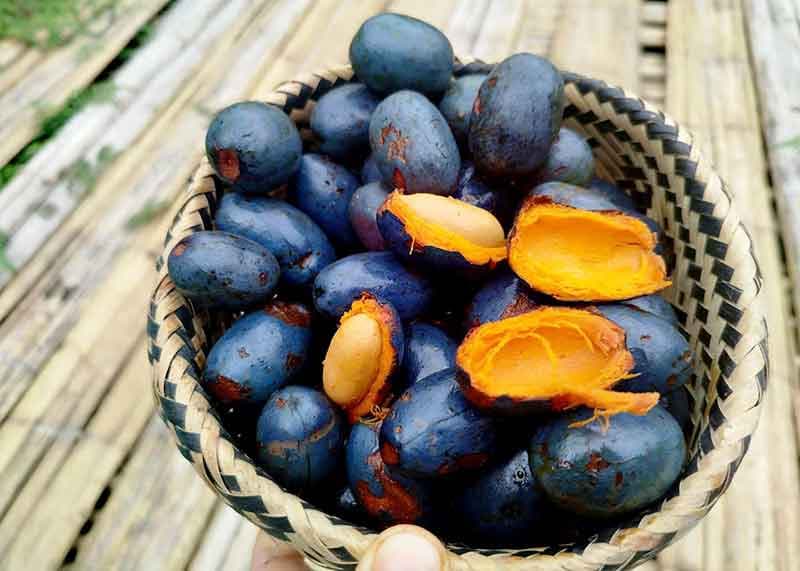 Quả cọ có bao nhiêu calo?