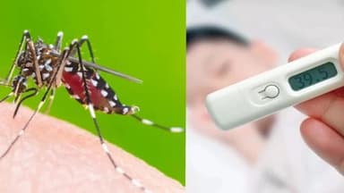 Sốt mấy ngày thì xét nghiệm sốt xuất huyết sẽ ra bệnh?