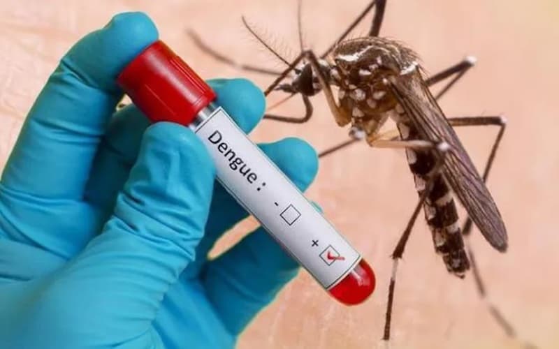 sốt mấy ngày thì xét nghiệm sốt xuất huyết