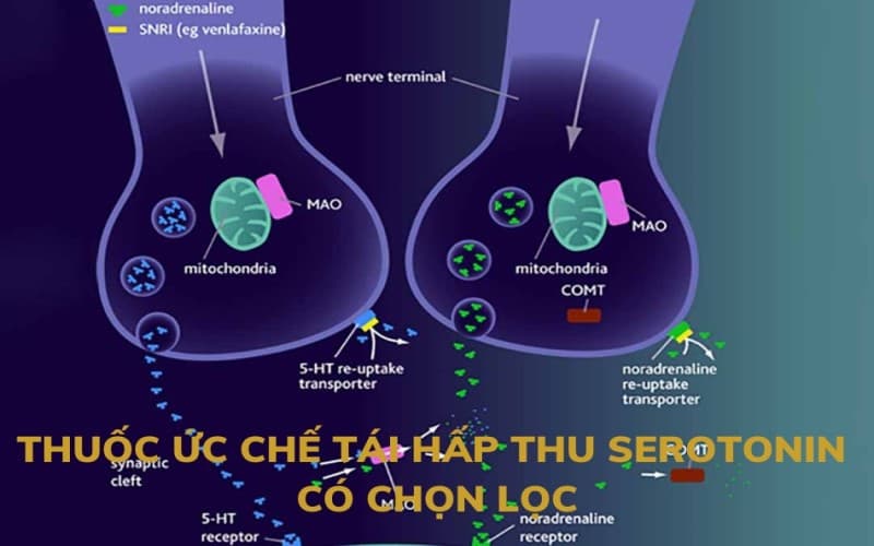 thuốc giảm lo âu căng thẳng