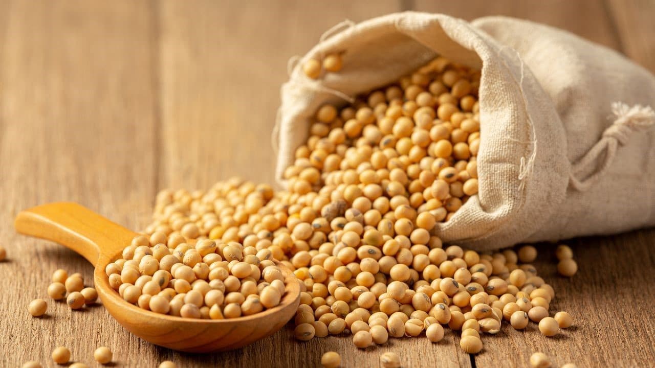 Đậu nành là nguồn thực phẩm giàu isoflavone và mang đặc tính chống oxy hóa mạnh