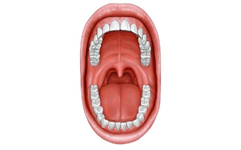 ung thư vòm họng nổi hạch ở đâu