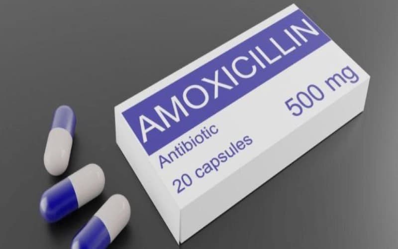 liều dùng amoxicillin 500mg cho người lớn