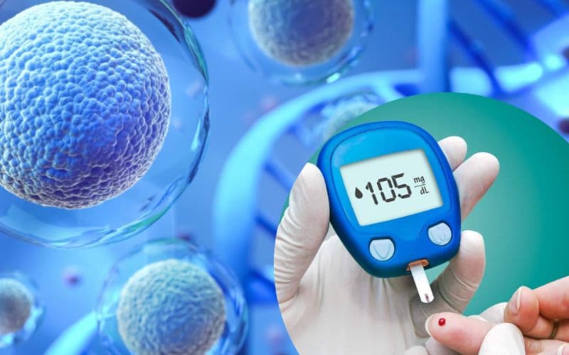 áp xe gan do vi khuẩn