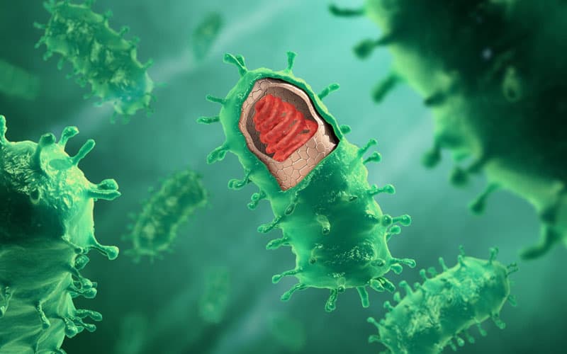 bệnh dại ủ bệnh 10 năm