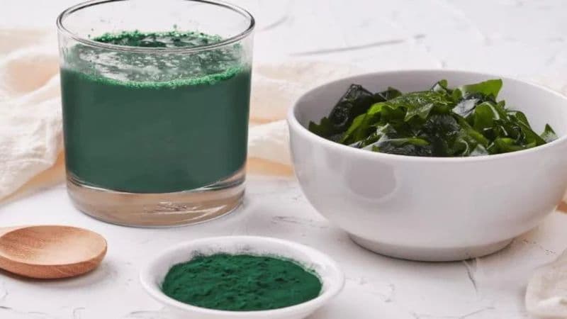 u tuyến giáp có uống được tảo biển không