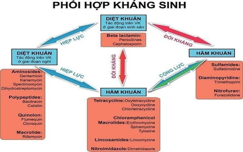 nguyên tắc sử dụng kháng sinh của bộ y tế