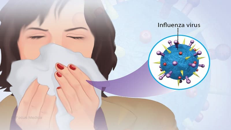 virus cảm cúm sống được bao lâu