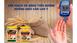 Chỉ số đường huyết của yến mạch, bị tiểu đường ăn được không?