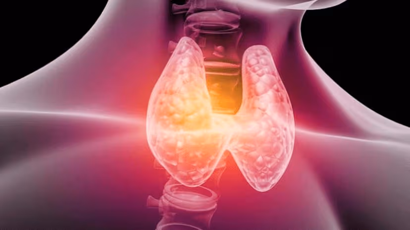 Vì sao cường giáp làm tăng sinh mạch máu?