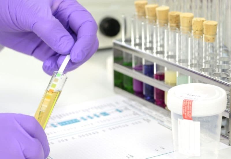 dấu hiệu tiền sản giật 3 tháng đầu