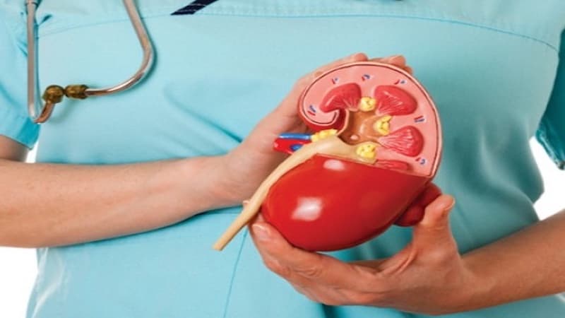 phác đồ điều trị suy tuyến thượng thận mạn