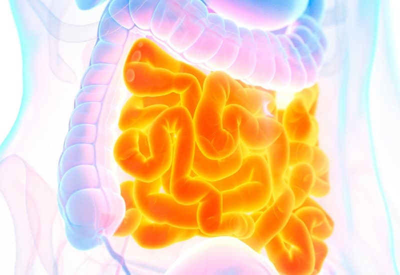 enzyme phân giải tinh bột