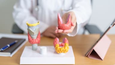 Các hoạt chất chính trong điều trị suy giáp