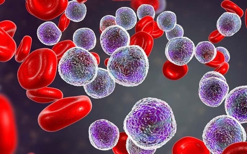 mono thấp trong xét nghiệm máu là gì