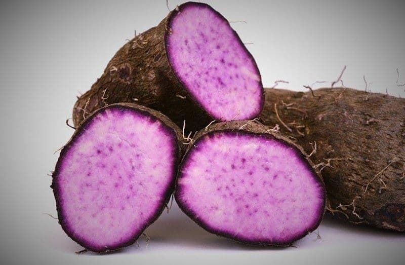 suy thận ăn khoai môn được không