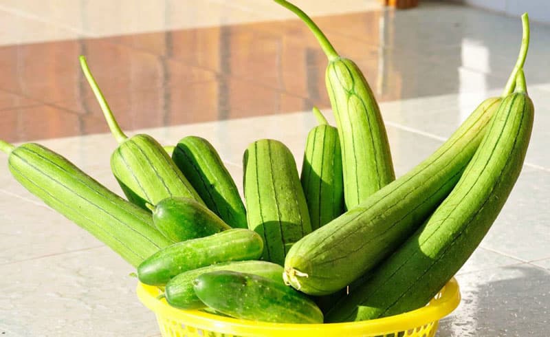 suy thận có ăn được mướp không