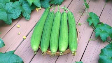 Bị suy thận có ăn được mướp không?