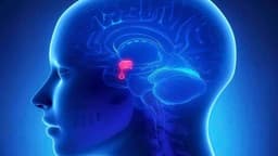 Phác đồ điều trị suy tuyến yên