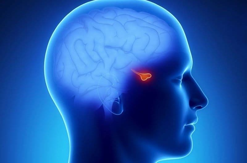 bệnh suy tuyến yên ở trẻ em