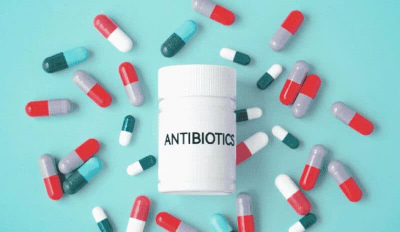 thuốc kháng sinh có tác dụng gì