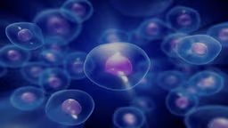 Tăng sinh tế bào là gì?