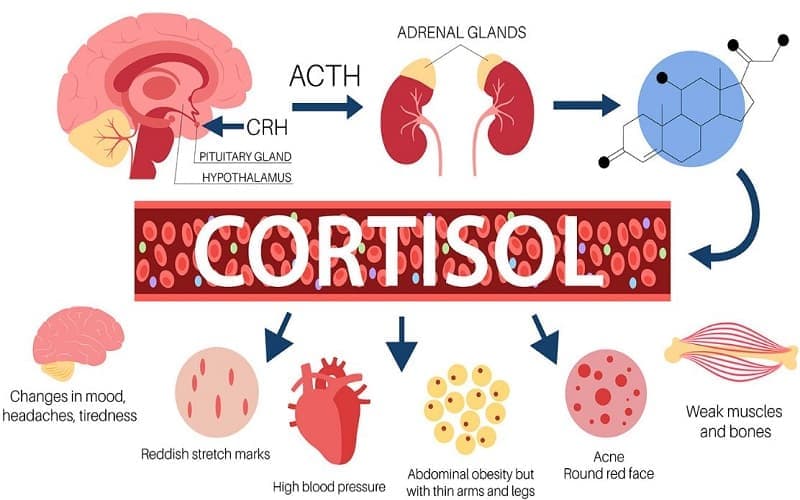 suy thượng thận do tuyến yên