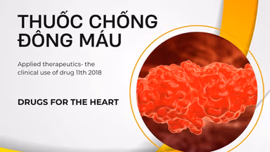 Thuốc chống đông máu uống trước hay sau ăn?