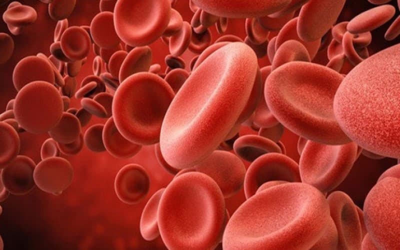 thuốc chống đông và chống kết tập tiểu cầu