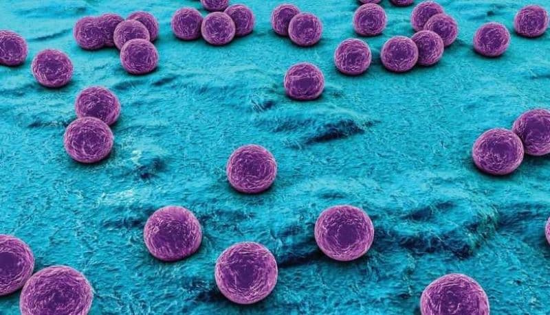 thuốc kháng sinh điều trị tụ cầu vàng