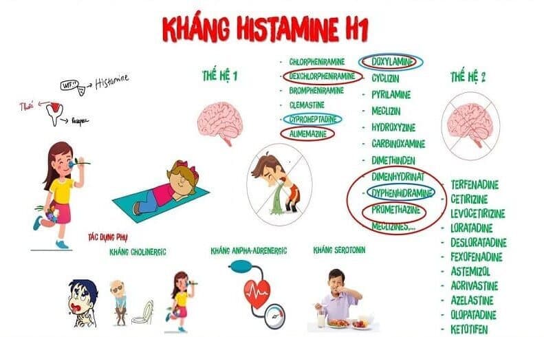so sánh thuốc kháng histamin thế hệ 1 và 2