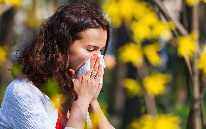 thuốc kháng histamin có hại không