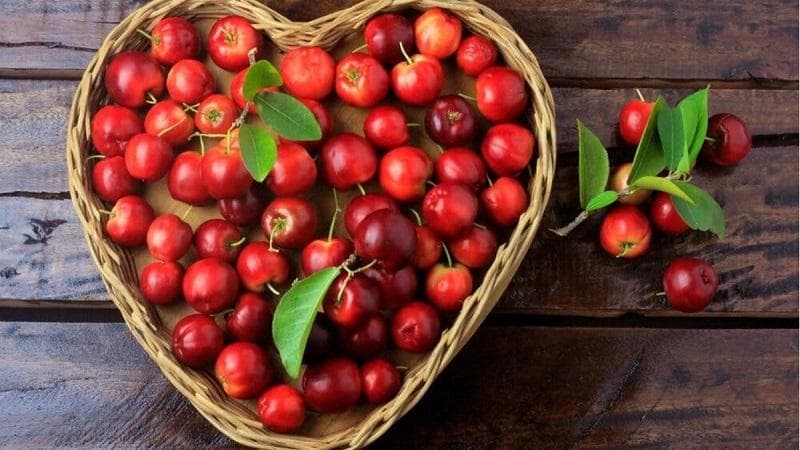 bị tiểu đường tuýp 2 có ăn sơ ri được không