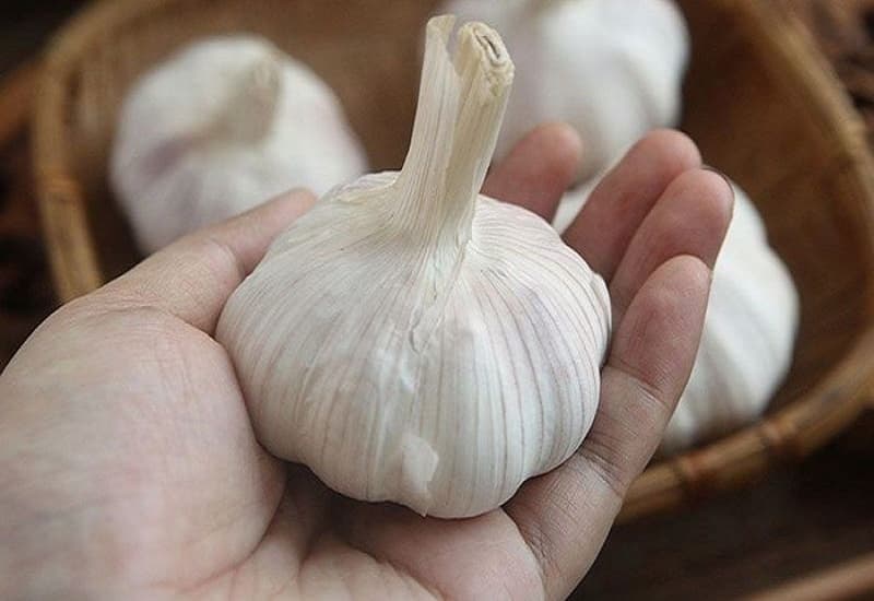 ăn tỏi có trị cảm cúm không