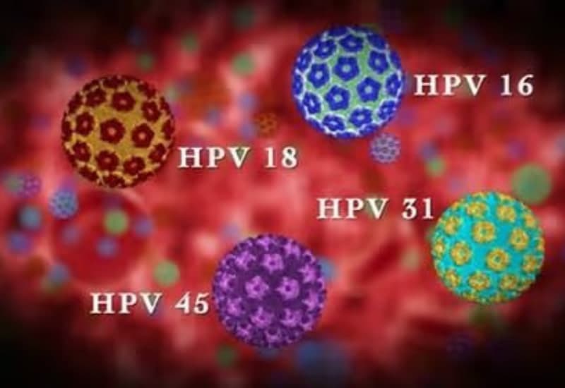 HPV có gây ung thư hậu môn không