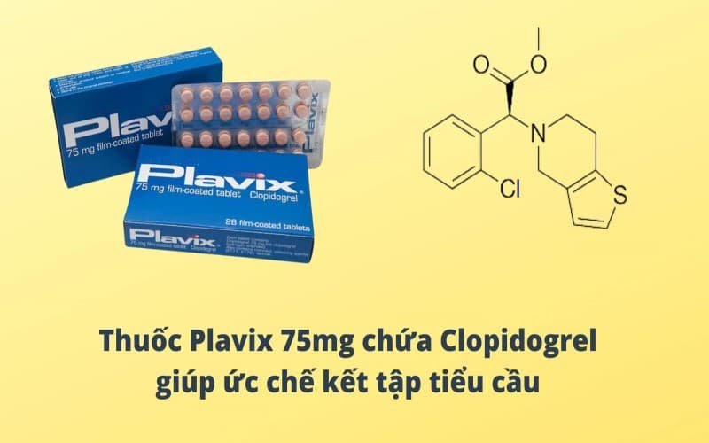 thuốc chống đông plavix