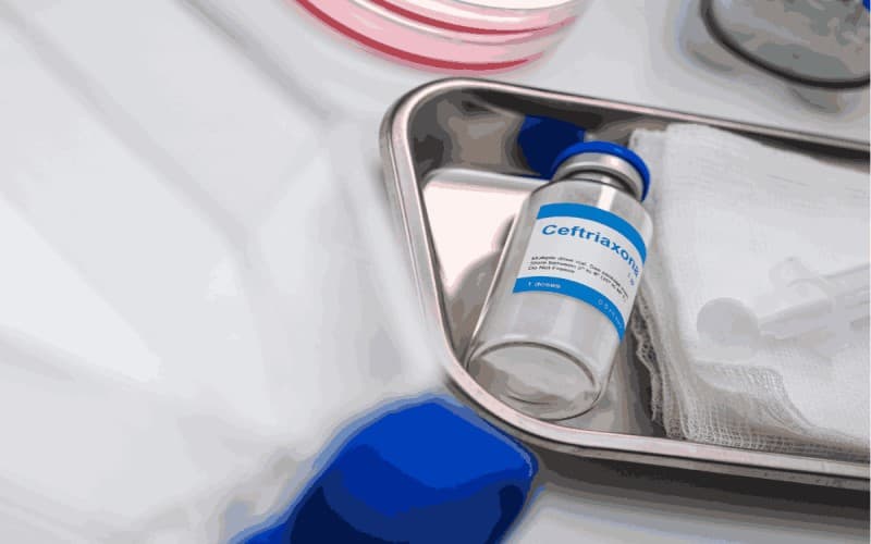 liều Ceftriaxone viêm màng não