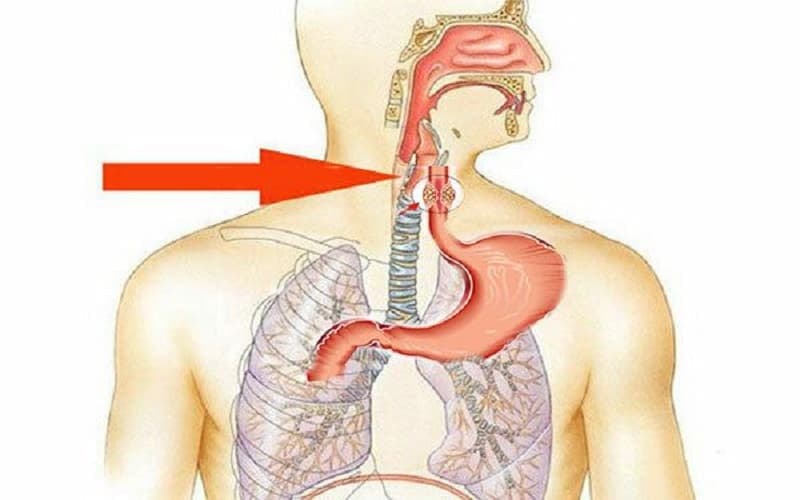 u thực quản lành tính và ác tính