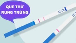 Chỉ số LH không tăng có rụng trứng không?