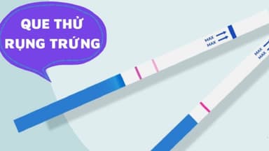 Chỉ số LH không tăng có rụng trứng không?