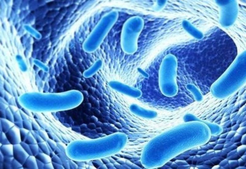 ngộ độc thực phẩm uống men tiêu hóa được không