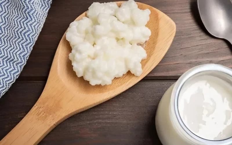 rối loạn tiêu hoá ở người lớn nên ăn gì