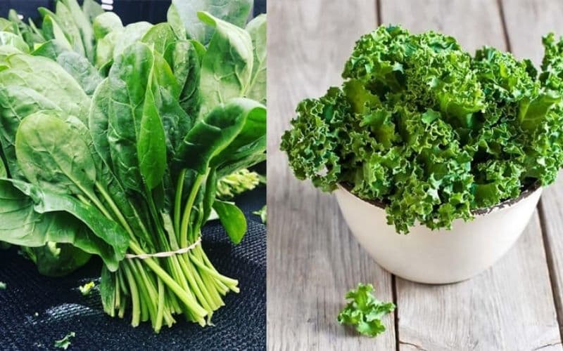 rối loạn tiêu hoá ở người lớn nên ăn gì