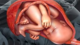 Thai ngôi ngang có nguy hiểm không? Dấu hiệu và mẹo xoay ngôi thai ngang